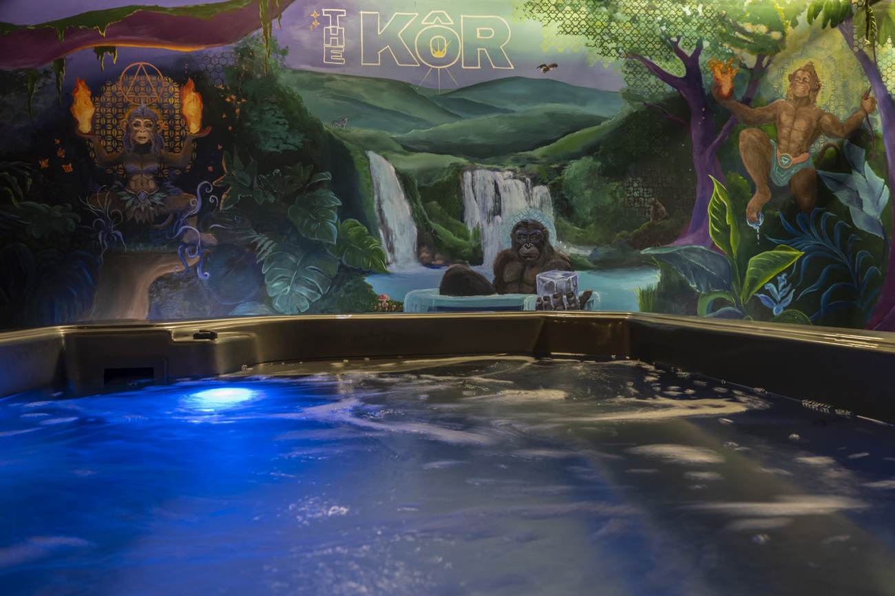 Hand-painted jungle mural above the cold plunge at The KoR in Sarasota